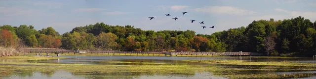 John Heinz National Wildlife Refuge