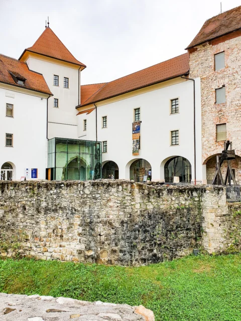 Knežji dvorec, Celje