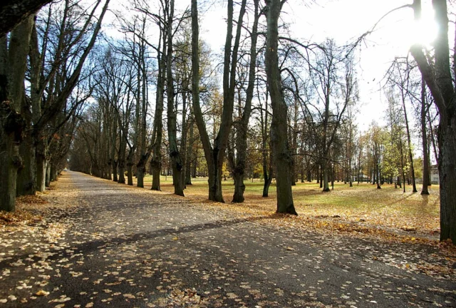 Tähtvere park