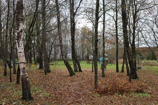 Vana-Pärnu metsapark