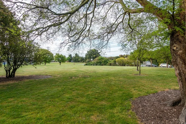 Sockburn Park