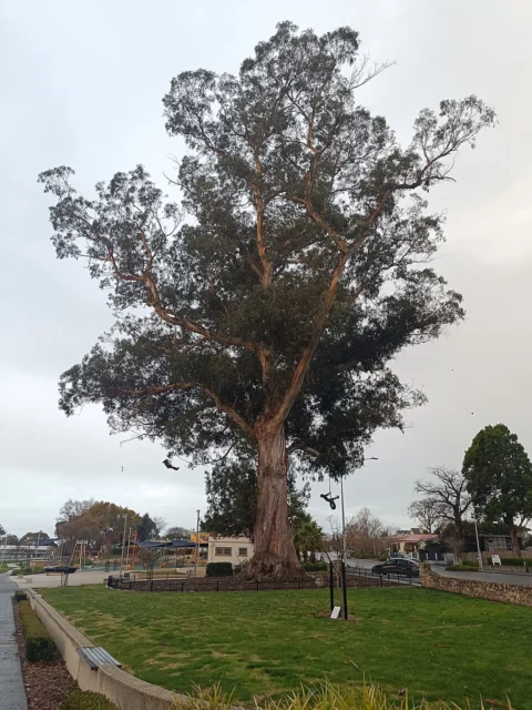 Havelock North Domain