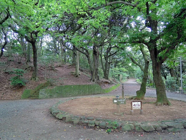 Minami Park