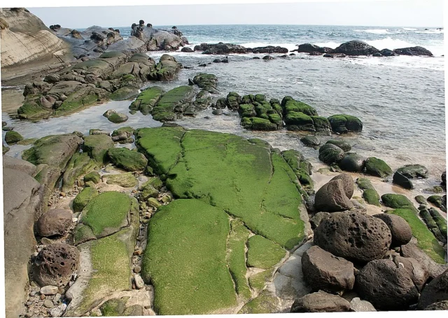 和平島公園