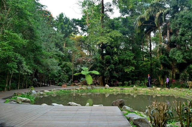 嘉義樹木園(植物園)
