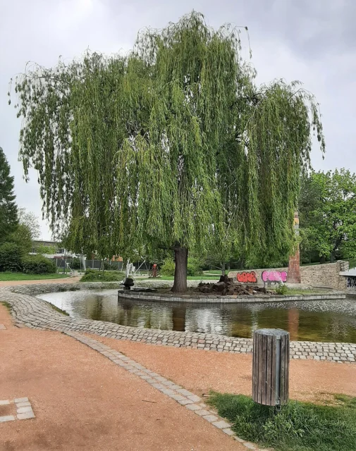 Chvojkovy lomy