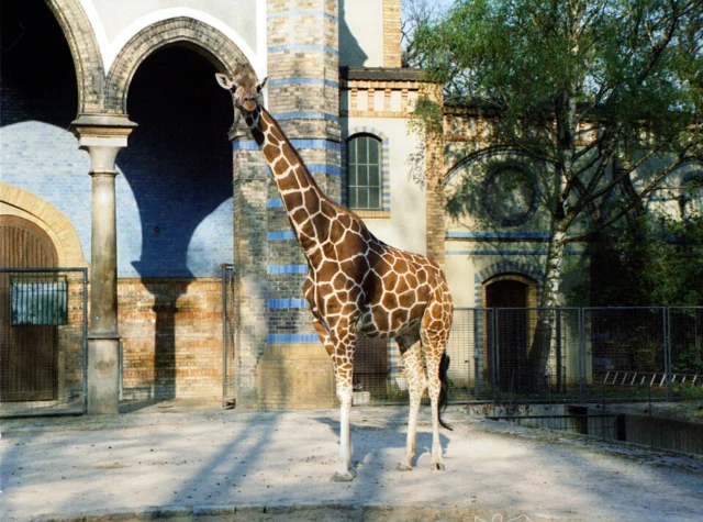 Zoo Berlin