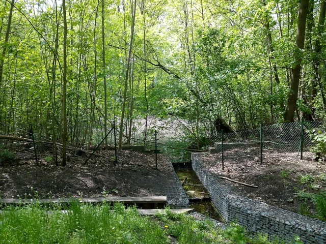Ziegeleigraben / Albtalweg