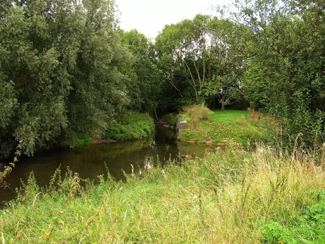 Harheimer Ried