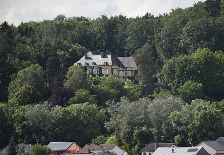 Château de Fischbach