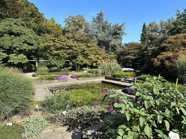 Botanischer Garten