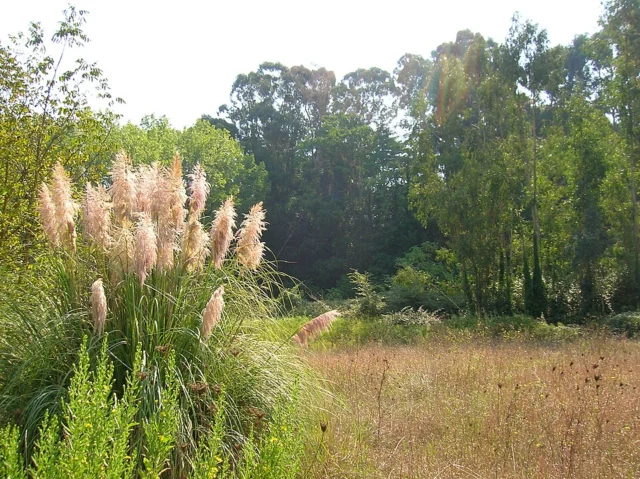 Monumento Naturale Parco della Cellulosa