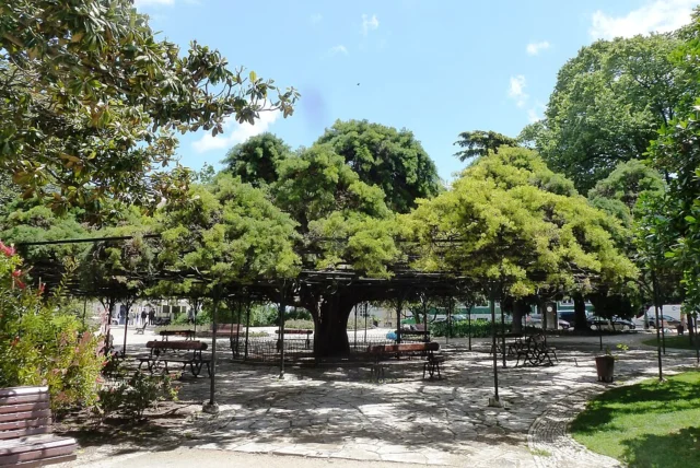 Jardim do Príncipe Real
