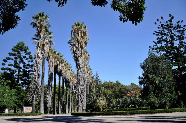 Tropical Botanical Garden
