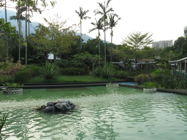 楊小坑錦簇花園 Yeung Siu Hang Garden