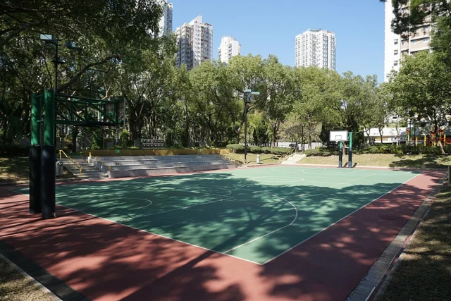 大埔舊墟遊樂場 Tai Po Old Market Playground