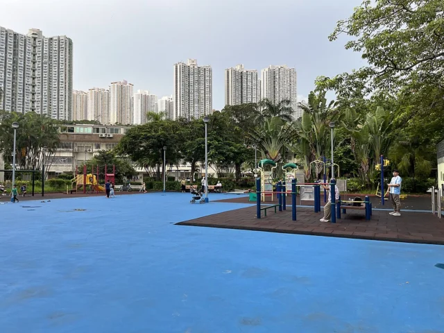 大王下遊樂場 Tai Wong Ha Playground