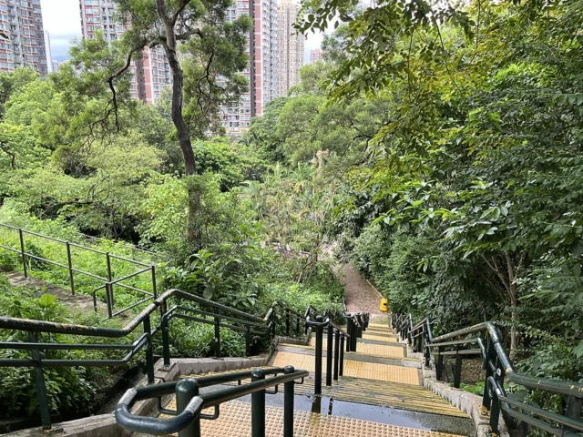 涌美路休憩處 Chung Mei Road Sitting-out Area